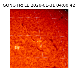 gong - 2026-01-31T04:00:42