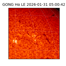 gong - 2026-01-31T05:00:42