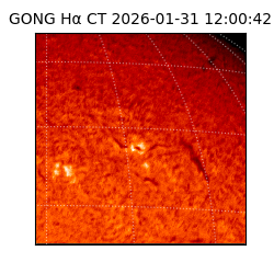 gong - 2026-01-31T12:00:42