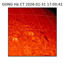 gong - 2026-01-31T17:00:42
