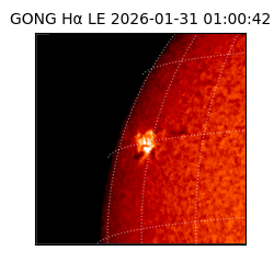 gong - 2026-01-31T01:00:42
