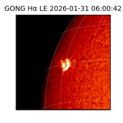 gong - 2026-01-31T06:00:42