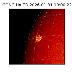 gong - 2026-01-31T10:00:22
