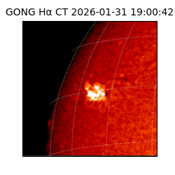gong - 2026-01-31T19:00:42