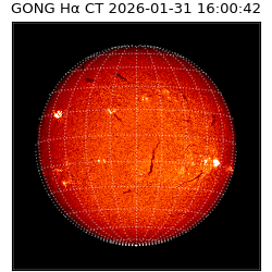 gong - 2026-01-31T16:00:42
