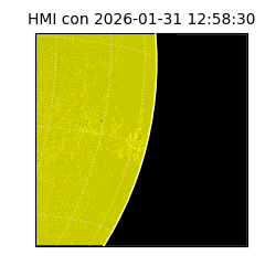 shmi - 2026-01-31T12:58:30.600000
