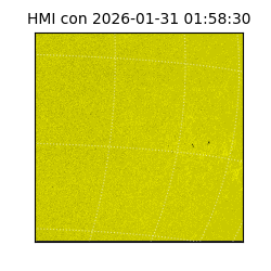 shmi - 2026-01-31T01:58:30.600000
