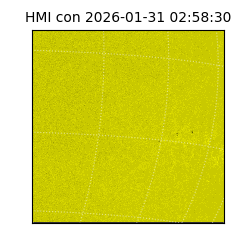 shmi - 2026-01-31T02:58:30.700000