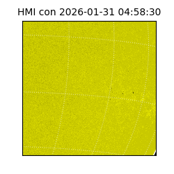 shmi - 2026-01-31T04:58:30.700000