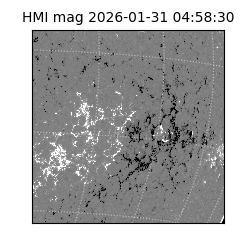 shmi - 2026-01-31T04:58:30.700000