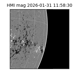 shmi - 2026-01-31T11:58:30.700000