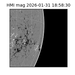 shmi - 2026-01-31T18:58:30.500000