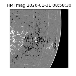 shmi - 2026-01-31T08:58:30.700000