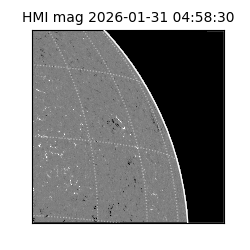 shmi - 2026-01-31T04:58:30.700000