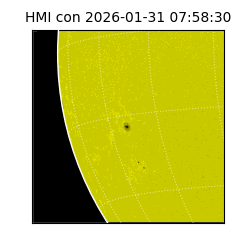 shmi - 2026-01-31T07:58:30.800000