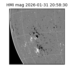 shmi - 2026-01-31T20:58:30.500000