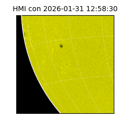 shmi - 2026-01-31T12:58:30.600000