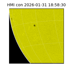 shmi - 2026-01-31T18:58:30.500000