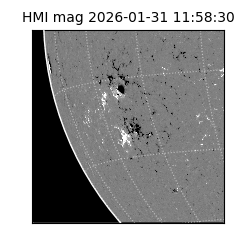 shmi - 2026-01-31T11:58:30.700000