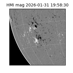 shmi - 2026-01-31T19:58:30.500000