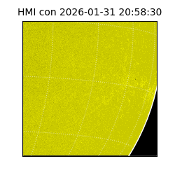 shmi - 2026-01-31T20:58:30.500000