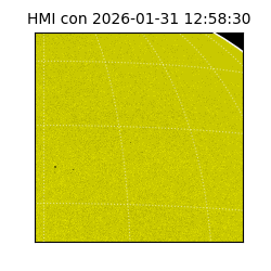 shmi - 2026-01-31T12:58:30.600000