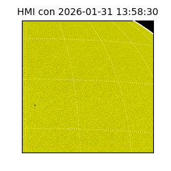 shmi - 2026-01-31T13:58:30.600000