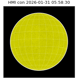 shmi - 2026-01-31T05:58:30.700000