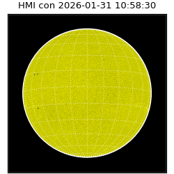 shmi - 2026-01-31T10:58:30.700000
