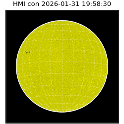 shmi - 2026-01-31T19:58:30.500000