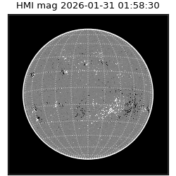 shmi - 2026-01-31T01:58:30.600000