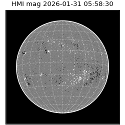 shmi - 2026-01-31T05:58:30.700000