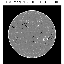 shmi - 2026-01-31T16:58:30.500000