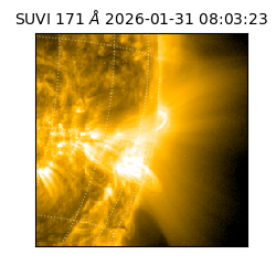 suvi - 2026-01-31T08:03:23.259000
