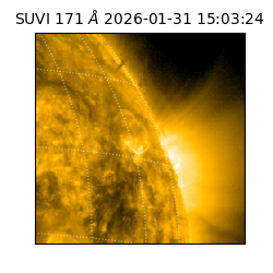 suvi - 2026-01-31T15:03:24.539000