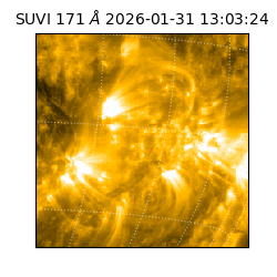 suvi - 2026-01-31T13:03:24.175000