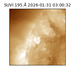 suvi - 2026-01-31T03:00:32.337000