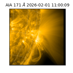 saia - 2026-02-01T11:00:09.352000