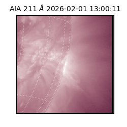 saia - 2026-02-01T13:00:11.615000