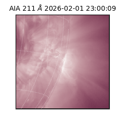 saia - 2026-02-01T23:00:09.633000