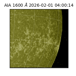 saia - 2026-02-01T04:00:14.125000