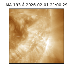 saia - 2026-02-01T21:00:29.627000