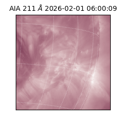saia - 2026-02-01T06:00:09.623000