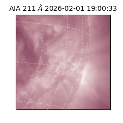 saia - 2026-02-01T19:00:33.626000