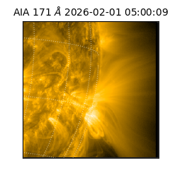 saia - 2026-02-01T05:00:09.350000