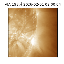 saia - 2026-02-01T02:00:04.843000