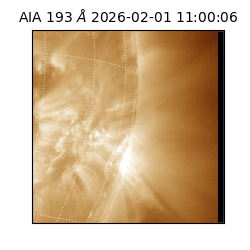 saia - 2026-02-01T11:00:06.614000