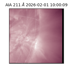 saia - 2026-02-01T10:00:09.622000
