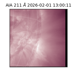 saia - 2026-02-01T13:00:11.615000