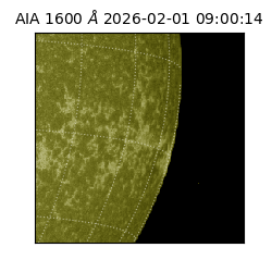 saia - 2026-02-01T09:00:14.130000
